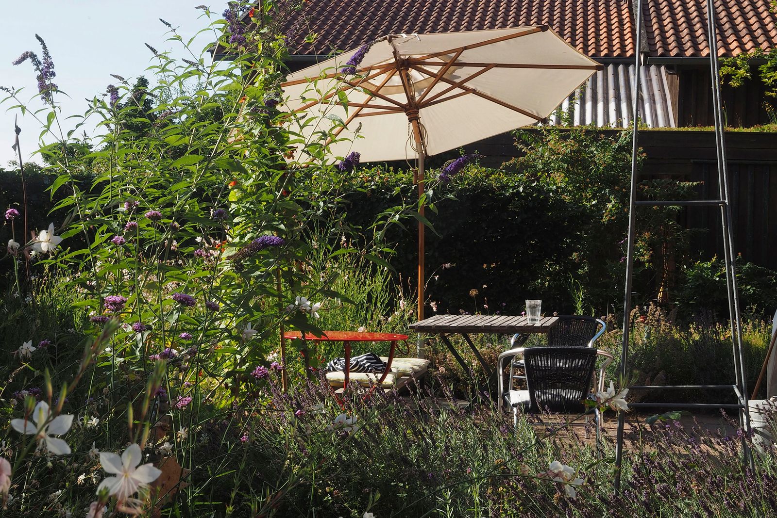 Garten Eilts 2