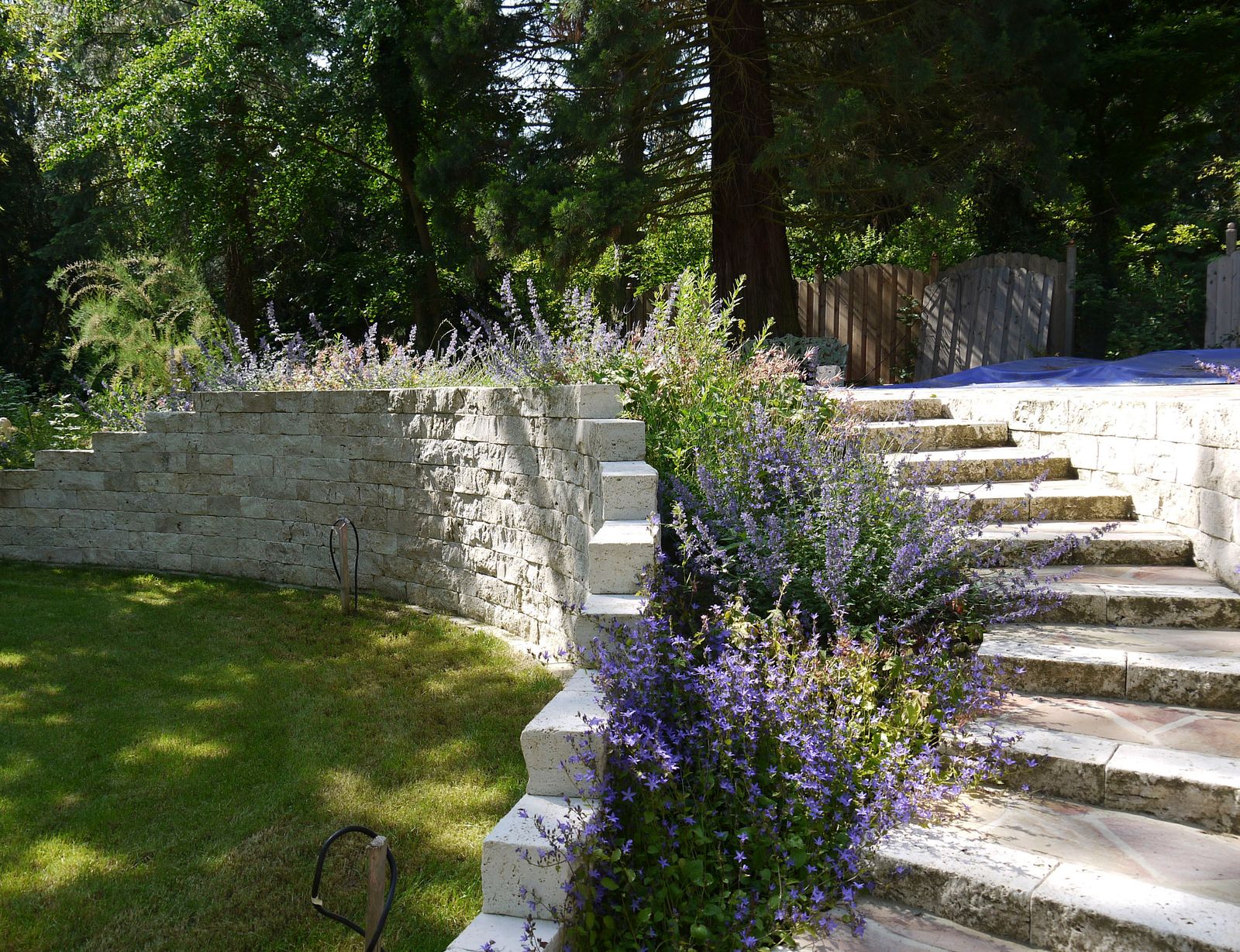 Garten Felix 4