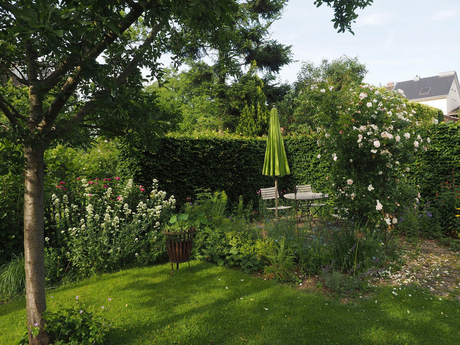 Gartenimpression 2