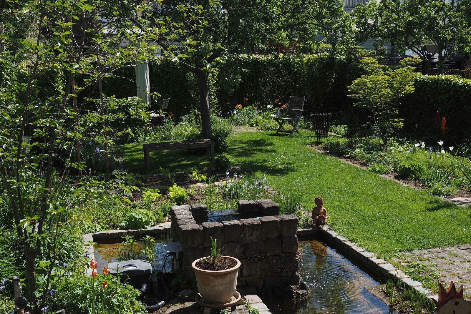 Gartenimpression 4