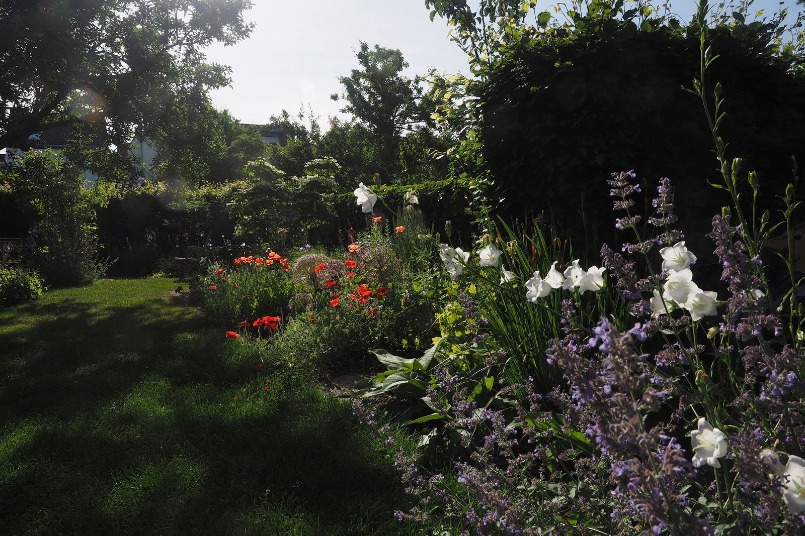 Gartenimpression 5